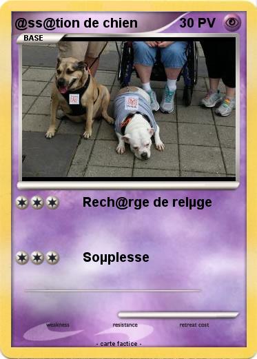 Pokemon @ss@tion de chien