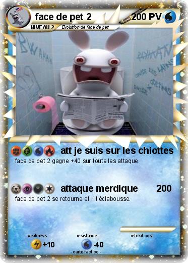 Pokemon face de pet 2