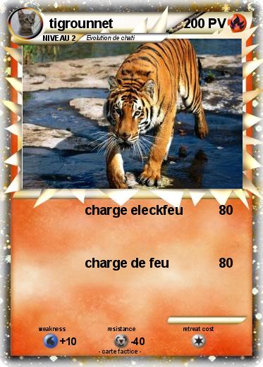 Pokemon tigrounnet