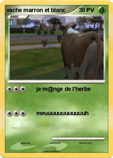 Pokemon vache marron et blanc