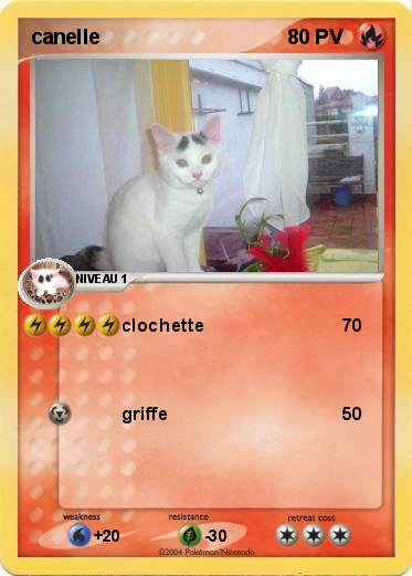 Pokemon canelle