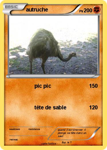 Pokemon autruche