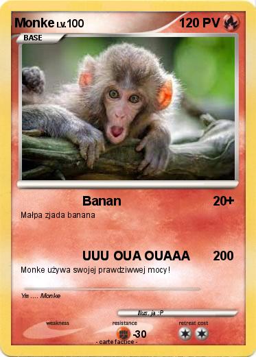 Pokemon Monke