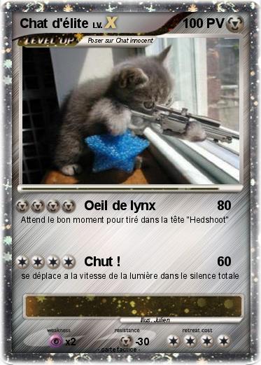 Pokemon Chat d'élite