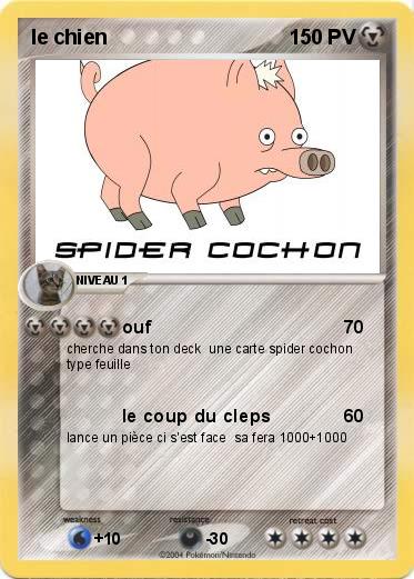 Pokemon le chien 
