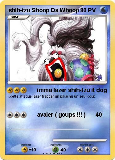 Pokemon shih-tzu Shoop Da Whoop