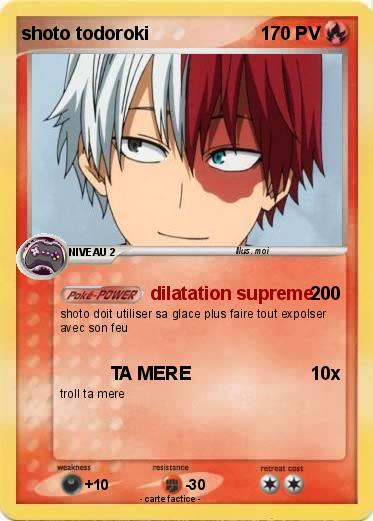 Pokemon shoto todoroki
