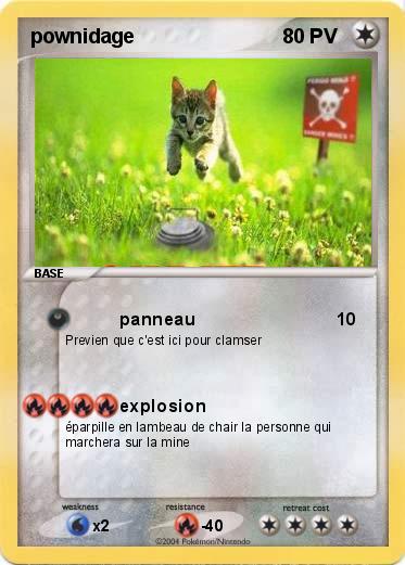 Pokemon pownidage