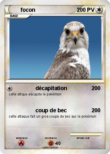 Pokemon focon