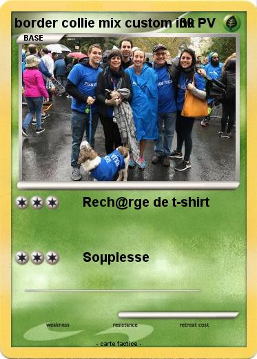 Pokemon border collie mix custom ink