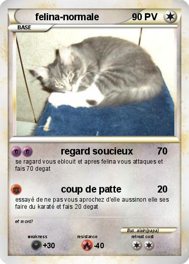 Pokemon felina-normale