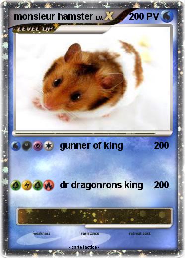 Pokemon monsieur hamster