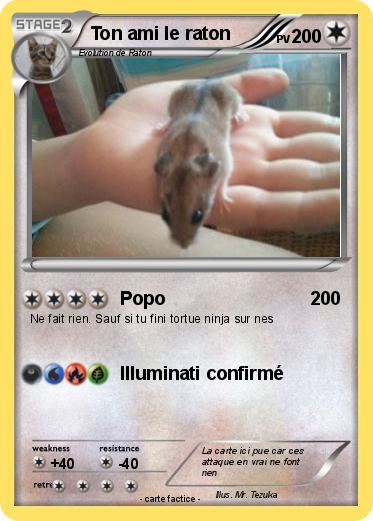 Pokemon Ton ami le raton