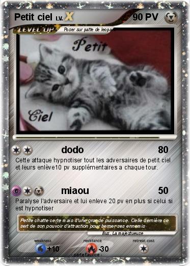Pokemon Petit ciel