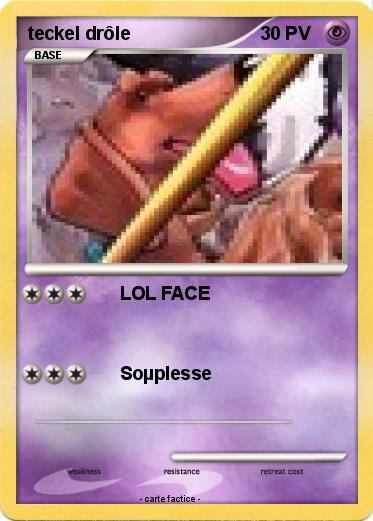 Pokemon teckel drôle