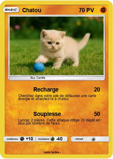 Pokemon Chatou
