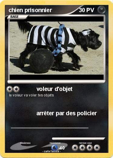 Pokemon chien prisonnier