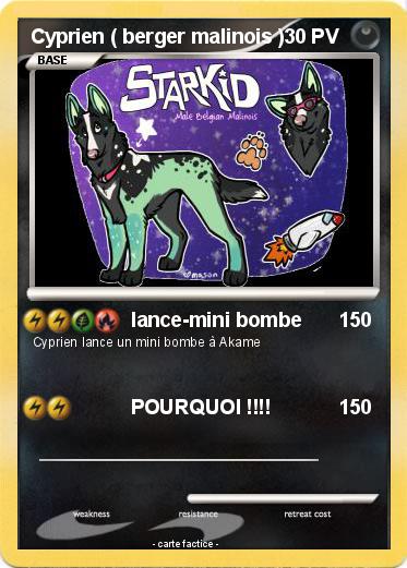 Pokemon Cyprien ( berger malinois )