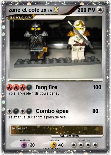 Pokemon zane et cole zx