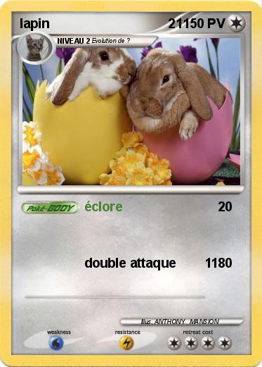 Pokemon lapin                                 21