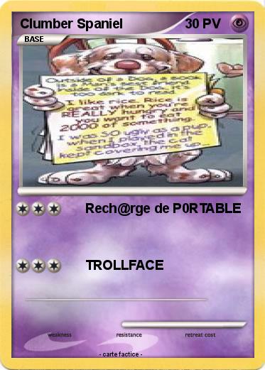 Pokemon Clumber Spaniel