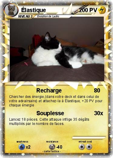 Pokemon Élastique