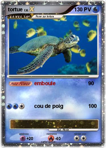 Pokemon tortue
