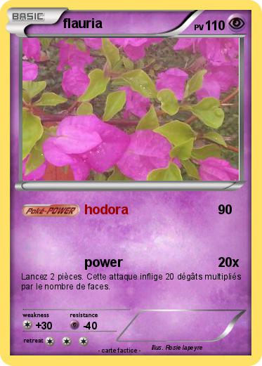 Pokemon flauria