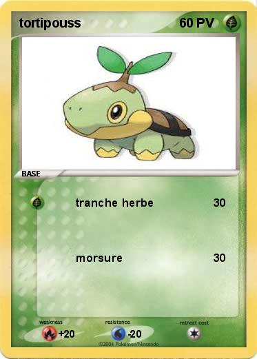 Pokemon tortipouss