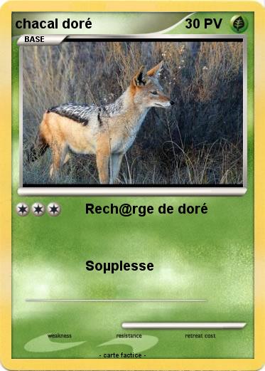 Pokemon chacal doré