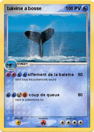 Pokemon baleine a bosse 