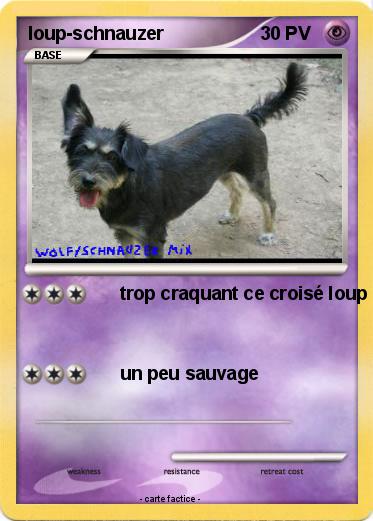 Pokemon loup-schnauzer