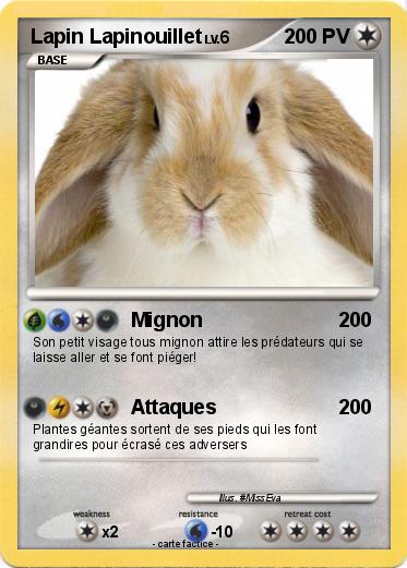 Pokemon Lapin Lapinouillet