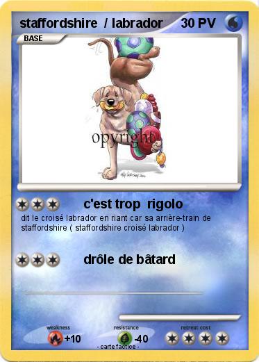 Pokemon staffordshire  / labrador