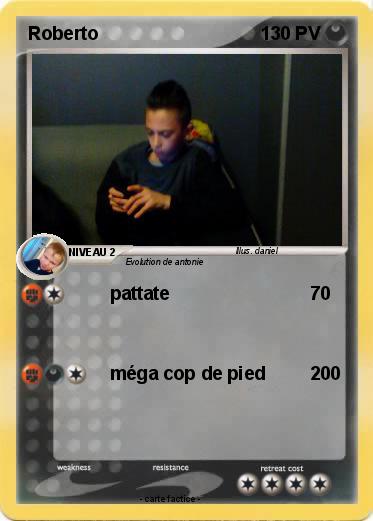 Pokemon Roberto