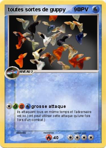 Pokemon toutes sortes de guppy         0