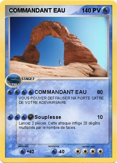 Pokemon COMMANDANT EAU