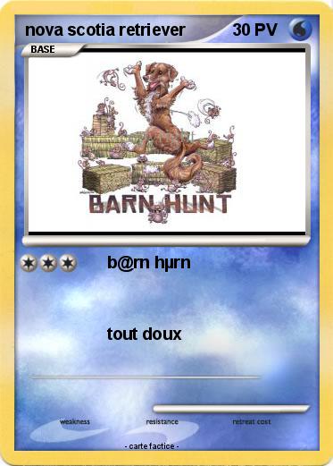 Pokemon nova scotia retriever