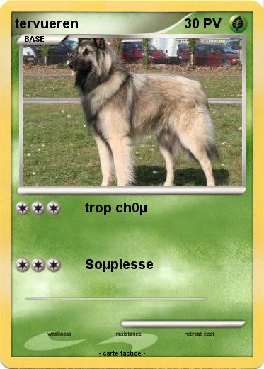 Pokemon tervueren