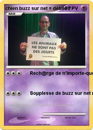 Pokemon chien buzz sur net = débile ?