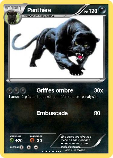 Pokemon Panthère