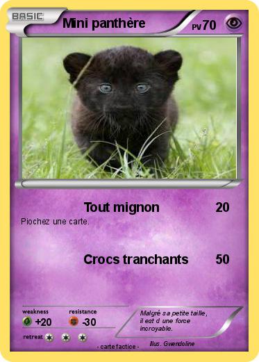Pokemon Mini panthère