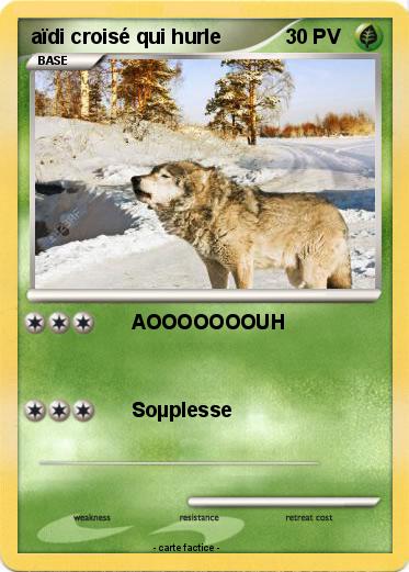 Pokemon aïdi croisé qui hurle