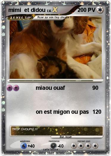 Pokemon mimi  et didou