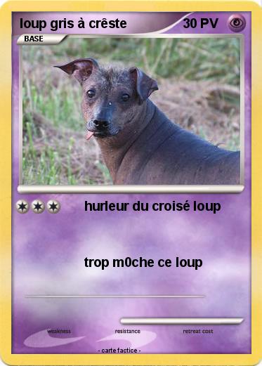 Pokemon loup gris à crêste