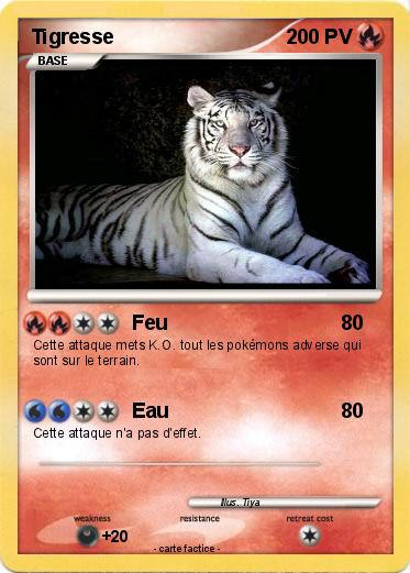 Pokemon Tigresse