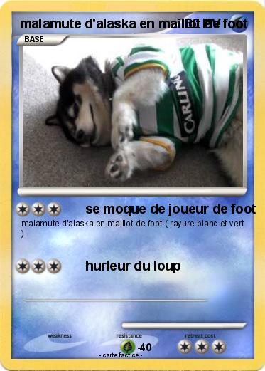 Pokemon malamute d'alaska en maillot de foot