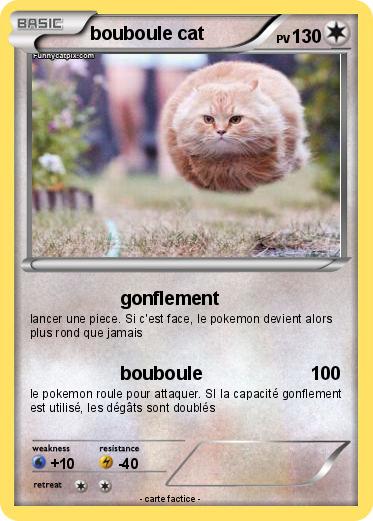 Pokemon bouboule cat