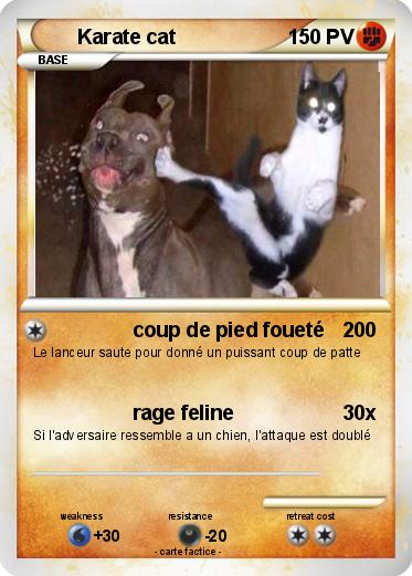 Pokemon Karate cat