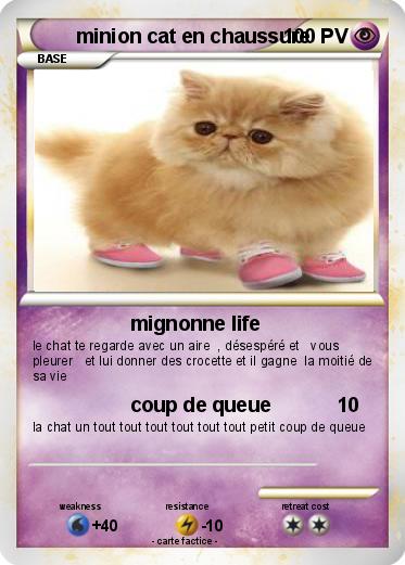 Pokemon minion cat en chaussure